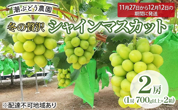 【2026年先行予約】 ぶどう 冬の贅沢 シャインマスカット 2房(1.4kg以上：1房700g以上×2箱）【11月20日から12月12日の期間に発送】 葡萄 ブドウ 岡山県産 フルーツ 果物 数量限定 期間限定 岡山 里庄町