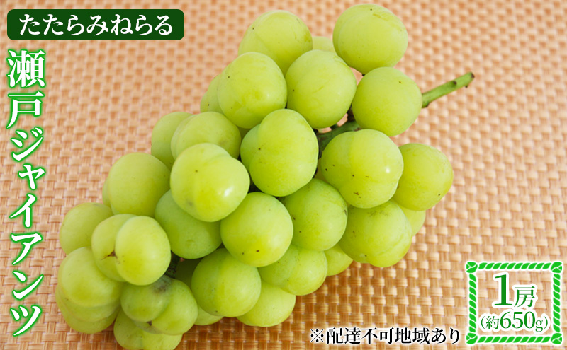【2026年先行予約】 ぶどう 岡山県産 たたらみねらる 瀬戸ジャイアンツ 1房(約650g) 《2026年9月中旬-10月中旬頃出荷》 葡萄 ブドウ フルーツ 果物 スイーツ 数量限定 期間限定 岡山 里庄町