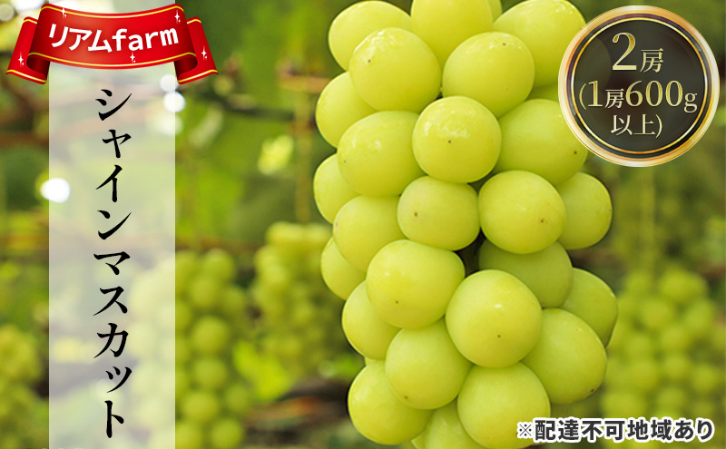 【2026年先行予約】 ぶどう 岡山県産 シャインマスカット 2房（1房600g以上） 《2026年7月下旬-8月下旬頃出荷》 葡萄 ブドウ フルーツ 果物 スイーツ 数量限定 期間限定 里庄町 リアム farm