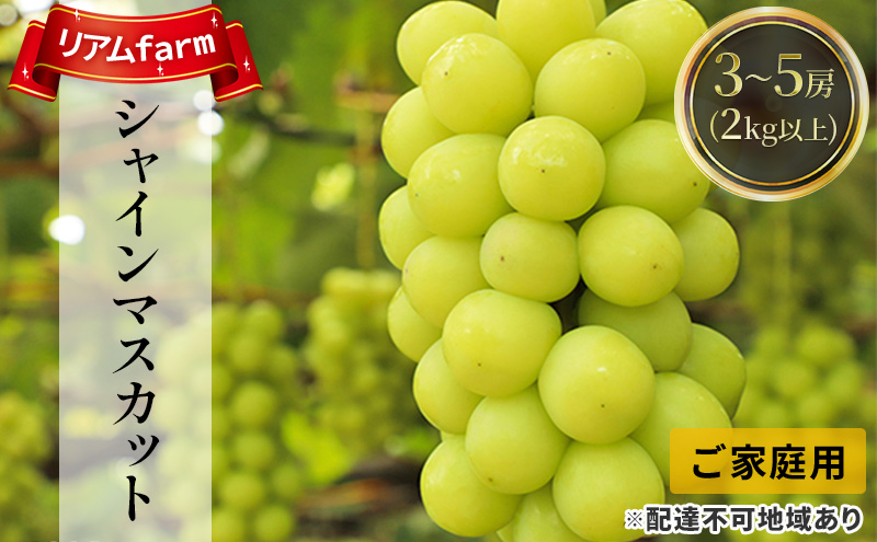 【2026年先行予約】 ご家庭用 ぶどう 岡山県産 シャインマスカット 3～5房（2kg以上） 《2026年8月上旬-9月上旬頃出荷》 葡萄 ブドウ フルーツ 果物 スイーツ 数量限定 期間限定 里庄町 リアム farm