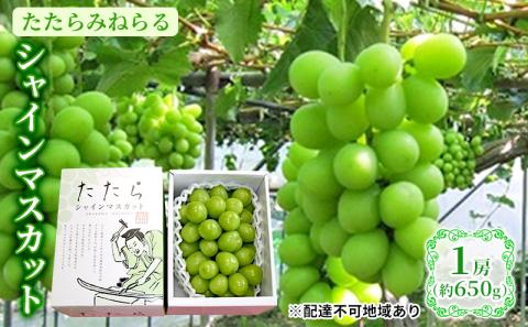 【2026年先行予約】 ぶどう 岡山県産 たたらみねらる シャインマスカット 1房(約650g) 《2026年8月下旬-10月下旬頃出荷》 葡萄 ブドウ フルーツ 果物 スイーツ 数量限定 期間限定 岡山 里庄町