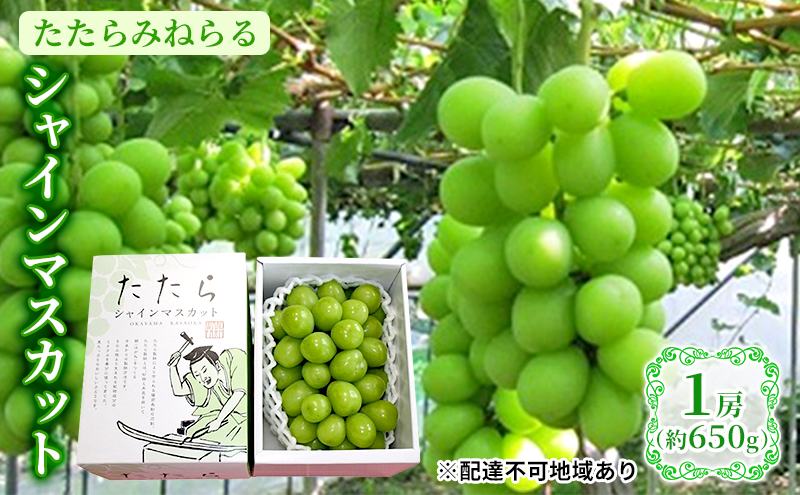 【2026年先行予約】 ぶどう 岡山県産 たたらみねらる シャイ