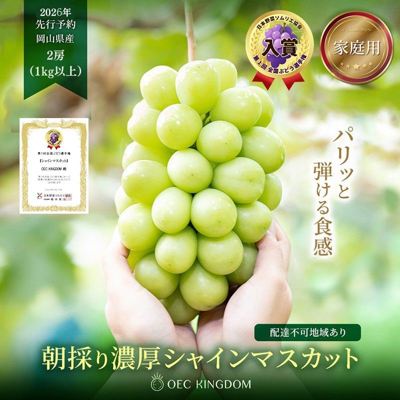 ぶどう 2026年 先行予約 ［ご家庭用］ シャイン マスカット 2房（合計1kg以上） ブドウ 葡萄 岡山県産 国産 フルーツ 果物 OEC KINGDOM ぶどう家 果物類