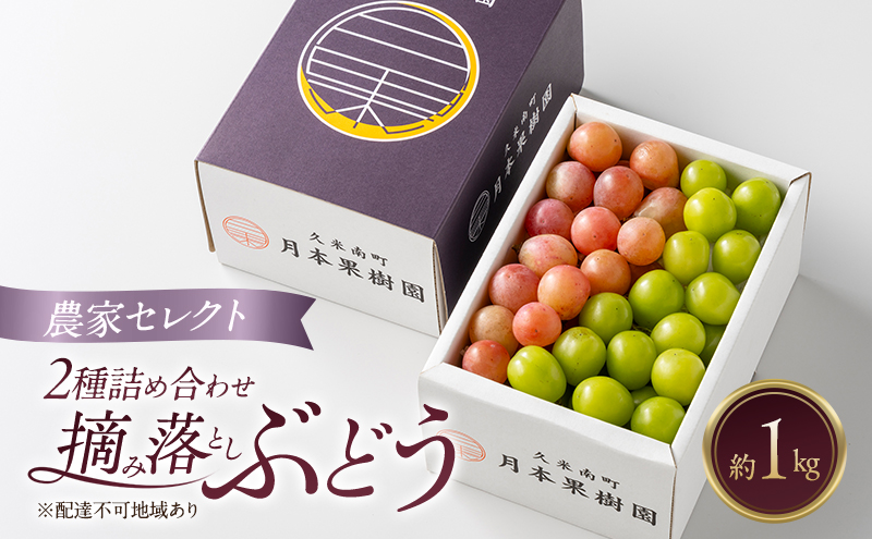 岡山県産 摘み落としぶどう 農家セレクト2種詰め合わせ 約1kg 葡萄