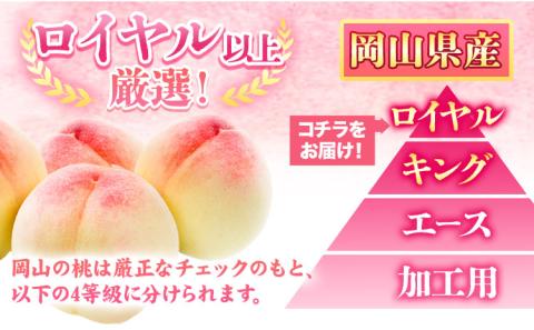 【先行予約】 岡山県産 岡山白桃  8玉 (220g以上) 【配送不可地域あり】 《7月上旬-8月下旬頃出荷》 岡山県 矢掛町 桃 もも ---osy_chbf2_ak7_26_24500_8---