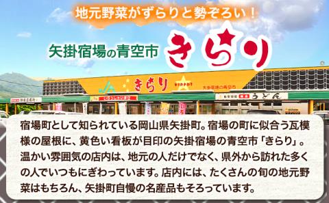 旬の新鮮野菜詰め合わせセット 青空市きらり 《30日以内に出荷予定》 野菜 矢掛町 野菜 トマト 野菜 きゅうり 野菜 玉ねぎ 野菜 リーキ 送料無料 野菜 詰め合わせ 旬 野菜 野菜 野菜 野菜 野菜 野菜 野菜 野菜 野菜 野菜 ---osy_ckrrys_30d_24_8000_s---