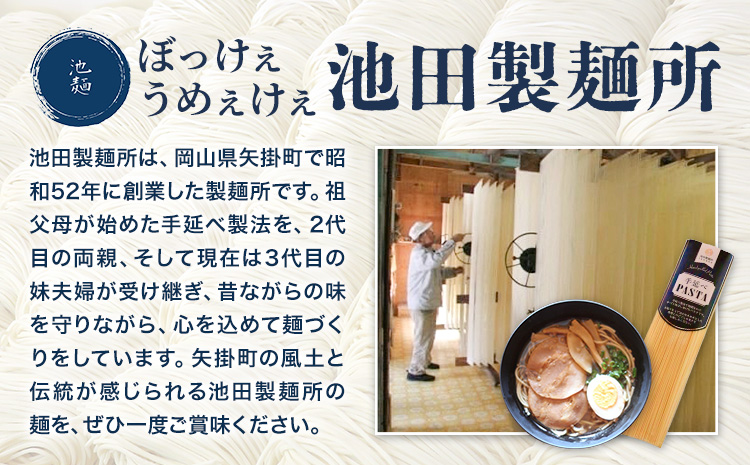 手延べラーメン 5食セット (スープ付き) 長期保存可 池田製麺所《30日以内に出荷予定(土日祝除く)》岡山県 矢掛町 ラーメン 手延べ 乾麺 無かんすい麺 醤油味 尾道ラーメン風 送料無料---ofn_ikdtrm_30d_25_8500_5---