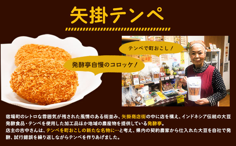 テンペ健康セットA 5個セット 矢掛テンペ 《30日以内に出荷予定(土日祝除く)》 粉末テンペ コロッケ 大豆 発酵食品 スーパーフード 岡山県矢掛町産 発酵亭---osy_fytkenaset_30d_24_19500_5p---