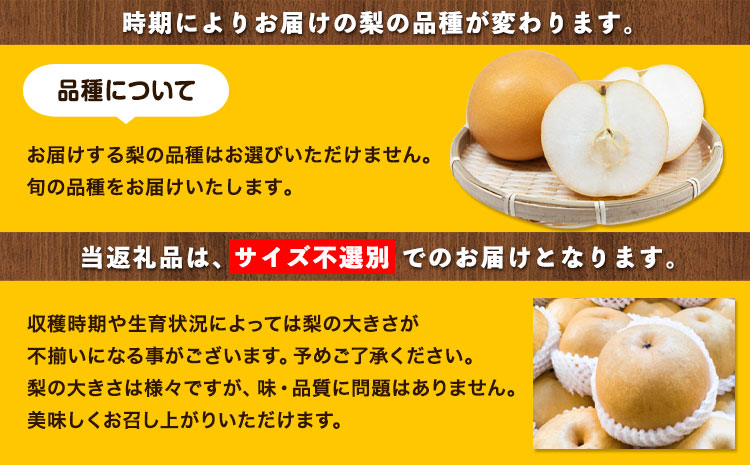 【先行予約】秀品 岡山県産 旬の 梨 約4kg 3～10玉前後 梨 秀品 新高 愛宕 スイーツ フルーツ デザート 旬 岡山県矢掛町《9月上旬-1月末頃に出荷予定》---ofn_ssnx_af91_25_22500_4kg---