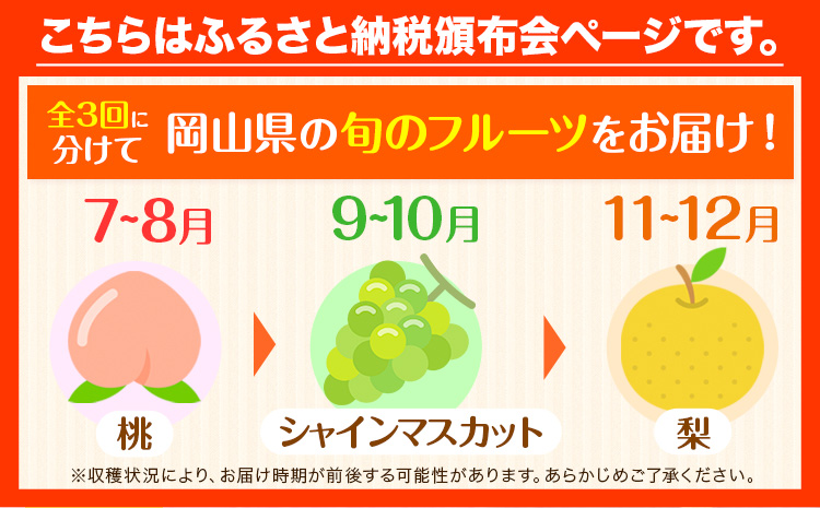 岡山県 旬のフルーツ定期便 全3回 桃 約1.3kg(4～8玉前後) シャインマスカット 約1.3kg (2房) 旬の梨 約1.8kg (2～5玉前後) 訳あり《7月上旬～12月末頃出荷》優品 フルーツ 果物 ご家庭用 定期便 お取り寄せ デザート---ofn_cfrutei_26_35500_jul3---