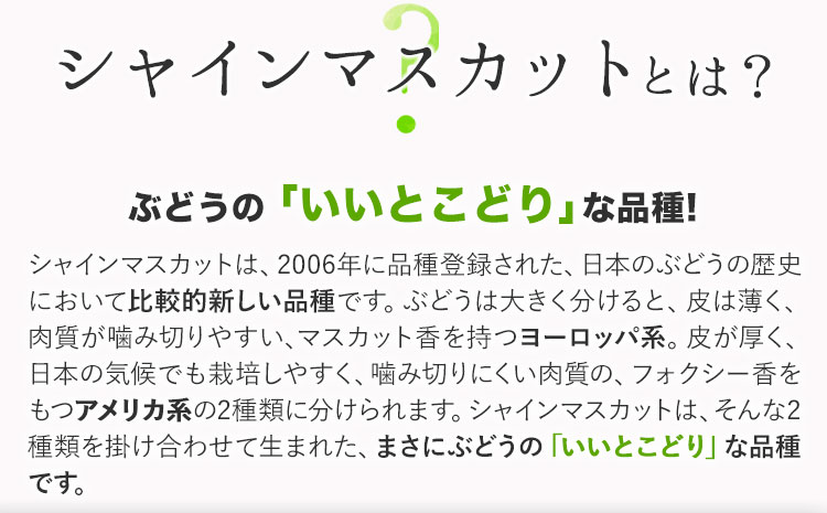秀品 シャインマスカット 約600g 1房《9月上旬-11月上旬頃出荷》---ofn_cssm_ad911_26_16500_1---