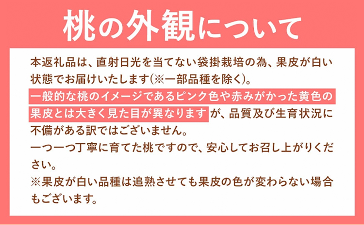 【2026年発送先行予約】【計2回 7月8月発送】桃 岡山の桃 約1.3kg (4～8玉)×2回発送(7月、8月) 《2026年7月-8月頃出荷》フルーツ 果物 先行予約 数量限定 岡山 矢掛町 桃 モモ もも 送料無料 お取り寄せ---ofn_cmomotei_25_24500_jul2---