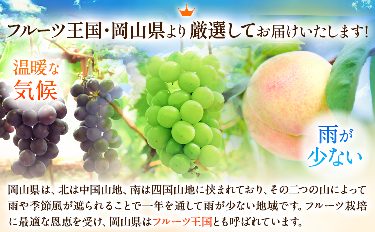 【先行予約】 岡山白桃 & シャインマスカット（晴王）セット【配送不可地域あり】 《7月上旬-8月中旬頃出荷》 岡山県 矢掛町 桃 白桃 もも 岡山白桃 シャインマスカット マスカット ぶどう 晴王---osy_chbf30_ae7_26_19500_ss---