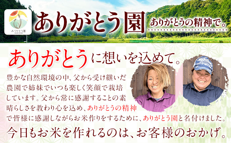ひのきキューブ 5個 ヒノキ 桧 ウッド 木製 手作り ありがとう園《30日以内に出荷予定(土日祝除く)》岡山県 矢掛町 香り リラックス エコ 送料無料---osy_arihc_30d_24_6000_5---