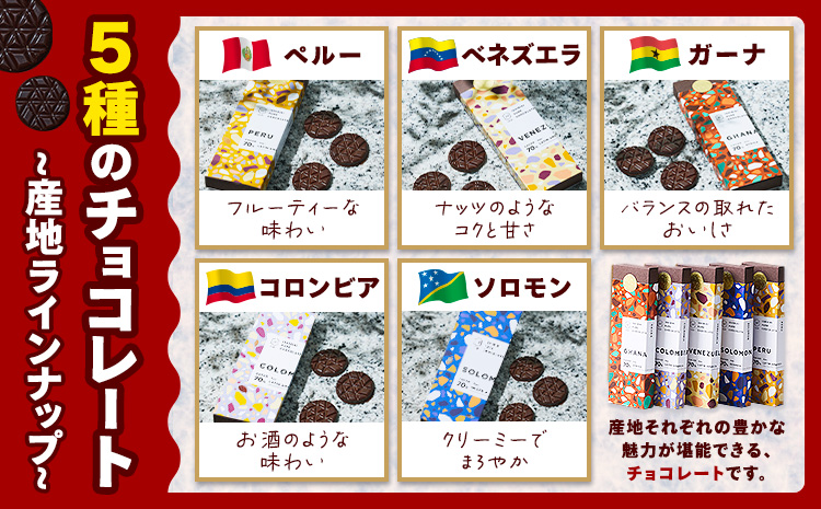 チョコレート 石挽きチョコレートセット Lセット計12品 石挽きカカオissai 《30日以内に出荷予定(土日祝除く)》岡山県 矢掛町 チョコレート チョコ カカオ 食べ比べ スイーツ おやつ---osy_ciciic_30d_25_30000_l---