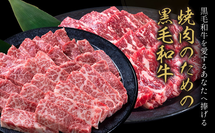 霜降り 赤身 食べ比べ セット 焼肉 650g 数量限定 牛肉 冷凍 黒毛和牛 切り落とし 《30日以内に出荷予定(土日祝除く)》 個別 取分け 小分け 個包装 赤身 霜降り 岡山県 矢掛町 牛 牛肉 和牛 焼き肉 グルメ 小分け 小分けパック 送料無料 ---ofn_fynkas_30d_25_12000_650---