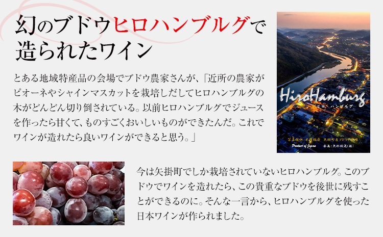 酒 日本ワイン 720ml 1本 矢掛放送 岡山県矢掛町《30日以内に出荷予定(土日祝除く)》 酒 ワイン 国産 ヒロハンブルグ 赤ワイン 国産 ブドウ---osy_cyhwine_30d_25_37000_1---