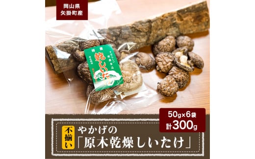 やかげの「原木乾燥しいたけ」 《60日以内に出荷予定(土日祝除く)》 不揃い 備中南森林組合 岡山県矢掛産---osy_bityukanso_30d_24_12000_300g---