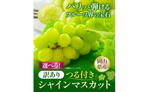 【先行予約】 岡山県産 訳あり つる付き シャインマスカット 3房【配送不可地域あり】 《9月上旬-10月下旬頃出荷》  ---osy_chbf16_ak9_26_24000_3---