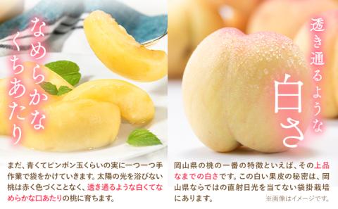 【2026年発送先行予約】岡山の桃 約4kg 《2026年6月下旬-9月上旬頃出荷》 フルーツ 果物 岡山 矢掛町 ---ofn_cwomx_l69_25_36000_4---