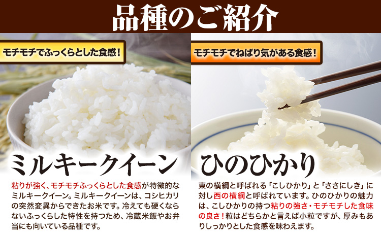 令和7年産 青空市きらり 10kg 岡山県産 (品種はお選びいただけません) 青空市きらり《30日以内に発送予定(土日祝除く)》岡山県 矢掛町 白米 精米 米 コメ---osy_akmkmk_30d_25_33500_10kg---