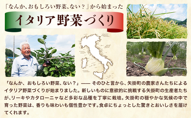 野菜 米 旬の イタリア野菜 2品目 リゾット米 1kg セット 《1月上旬-3月末頃出荷》JA晴れの国 矢掛アグリセンター 野菜 ねぎ ネギ 国産 イタリア リーキ プレコーチェ カタローニャ 西洋 リゾット 送料無料---osy_cjyaibr_af13_26_10000_s---