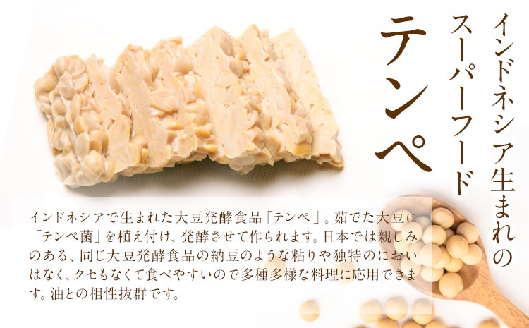 テンペ健康セットA 5個セット 矢掛テンペ 《30日以内に出荷予定(土日祝除く)》 粉末テンペ コロッケ 大豆 発酵食品 スーパーフード 岡山県矢掛町産 発酵亭---osy_fytkenaset_30d_24_19500_5p---