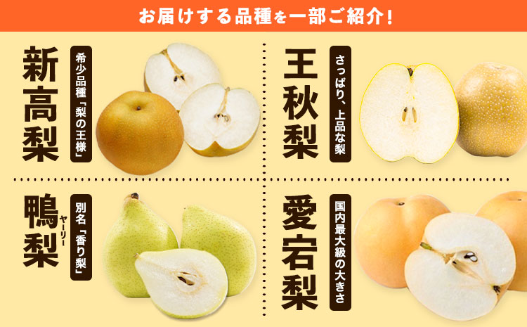 【先行予約】秀品 岡山県産 旬の 梨 約4kg 3～10玉前後 梨 秀品 新高 愛宕 スイーツ フルーツ デザート 旬 岡山県矢掛町《9月上旬-1月末頃に出荷予定》---ofn_ssnx_af91_25_22500_4kg---