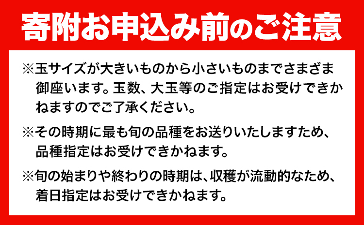 【2026年発送先行予約】【計2回 7月8月発送】桃 岡山の桃 約1.3kg (4～8玉)×2回発送(7月、8月) 《2026年7月-8月頃出荷》フルーツ 果物 先行予約 数量限定 岡山 矢掛町 桃 モモ もも 送料無料 お取り寄せ---ofn_cmomotei_25_24500_jul2---