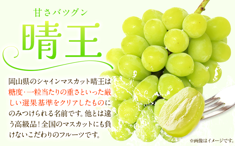 【先行予約】 岡山白桃 & シャインマスカット（晴王）& ニューピオーネ セット【配送不可地域あり】(離島、北海道、沖縄)白桃 ロイヤル シャインマスカット 1房 ニューピオーネ 1房《7月上旬-8月中旬頃出荷》 岡山県 矢掛町 桃 もも 晴王 ぶどう 詰め合わせ 果物---osy_chbf34_ae7_26_41500_ls---