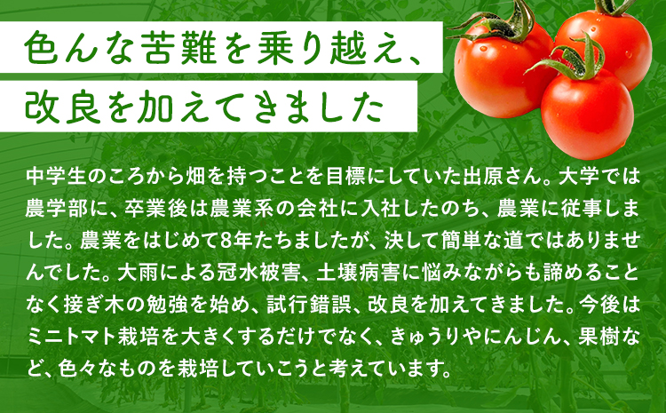 ミニトマト 約500g 出原農園 《1月上旬-5月末頃出荷》 岡山県 矢掛町 野菜 ミニトマト もぎたて 新鮮---osy_iktmt_af15_24_5500_500---st-p
