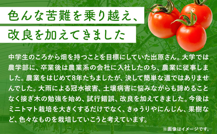 ミニトマト 約1kg 出原農園 《1月上旬-5月末頃出荷》 岡山県 矢掛町 野菜 ミニトマト もぎたて 新鮮---osy_iktmt_af15_24_8500_1---st-p