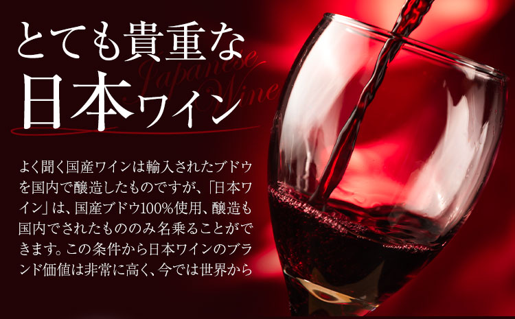 酒 日本ワイン 750ml 2本 矢掛放送 岡山県矢掛町《30日以内に出荷予定(土日祝除く)》 酒 ワイン 国産 ヒロハンブルグ 赤ワイン 国産 ブドウ 100％---osy_cyhwine_30d_26_44000_2---