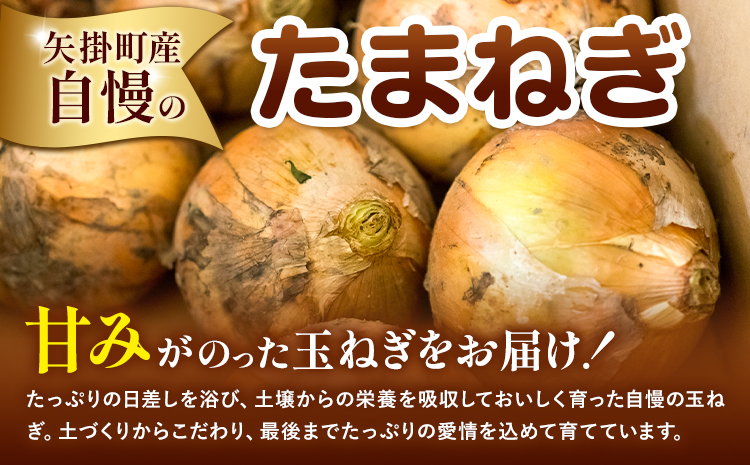 矢掛町産 訳あり 玉ねぎ 約5kg たまねぎ 大きさ不揃い 訳ありたまねぎ《5月末～7月中旬頃に出荷予定》 約 5kg 野菜 岡山県 矢掛町---ofn_ytn_e57_25_6500_5---