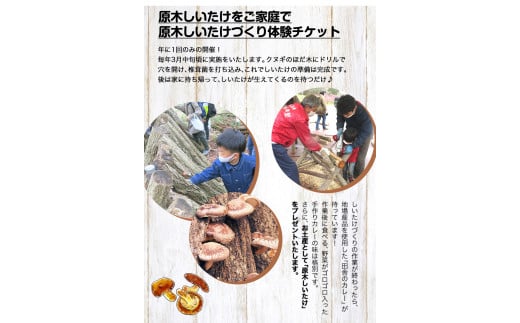 原木しいたけづくり体験チケット(昼食付) 1名様 《30日以内に出荷予定(土日祝除く)》 桃源郷はなしの里 岡山県矢掛町---iosy_togensitake_30d_22_17500_1p---
