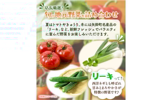 【3ヶ月定期便】旬の新鮮野菜詰め合わせセット 青空市きらり 《お申込み月の翌月から出荷開始》 矢掛町 野菜 トマト 玉ねぎ ---osy_cakystei_24_22500_mo3num_s---