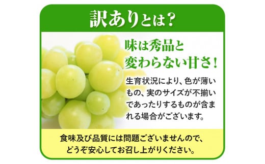 【先行予約】 岡山県産 訳あり つる付き シャインマスカット 3房【配送不可地域あり】 《9月上旬-10月下旬頃出荷》  ---osy_chbf16_ak9_26_24000_3---