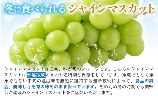 【2026年出荷先行予約】岡山県産 冷蔵 シャインマスカット 2房 (540g以上) 【配送不可地域あり】 《11月中旬-12月中旬頃に出荷予定(土日祝除く)》 ---osy_chbf9_q11_26_23000_2---