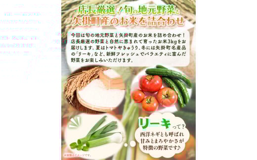 旬の新鮮野菜とお米詰め合わせセット 青空市きらり 《30日以内に出荷予定》 野菜 米 矢掛町 野菜 米 トマト 野菜 米 きゅうり 野菜 米 玉ねぎ 野菜 米 リーキ 野菜 米 送料無料 野菜 米 ---osy_cakyrs_30d_25_18000_s---