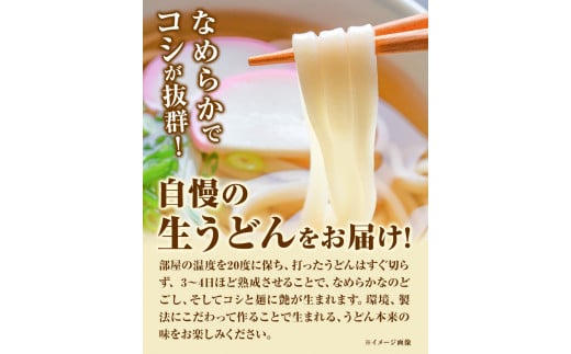 うどんよし野 冷凍 生うどん 14人前 (うどん2人前×7袋 つけ汁2人前×7袋)  《30日以内に出荷予定(土日祝除く)》---osy_fuysnud_30d_24_15000_14---