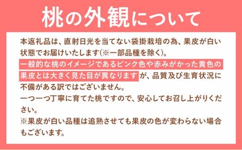 【2026年発送先行予約】岡山の桃 約4kg 《2026年6月下旬-9月上旬頃出荷》 フルーツ 果物 岡山 矢掛町 ---ofn_cwomx_l69_25_36000_4---