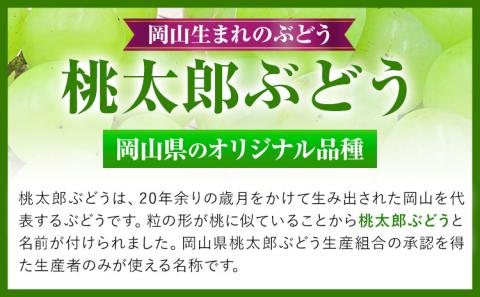 【先行予約】 岡山県産 桃太郎ぶどう 1房 (680g以上) 無加温栽培 【配送不可地域あり】 《9月上旬-10月下旬頃出荷》 ぶどう---osy_chbf5_ak9_26_18000_1---