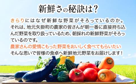 旬の新鮮野菜詰め合わせセット 青空市きらり 《30日以内に出荷予定》 野菜 矢掛町 野菜 トマト 野菜 きゅうり 野菜 玉ねぎ 野菜 リーキ 送料無料 野菜 詰め合わせ 旬 野菜 野菜 野菜 野菜 野菜 野菜 野菜 野菜 野菜 野菜 ---osy_ckrrys_30d_24_8000_s---