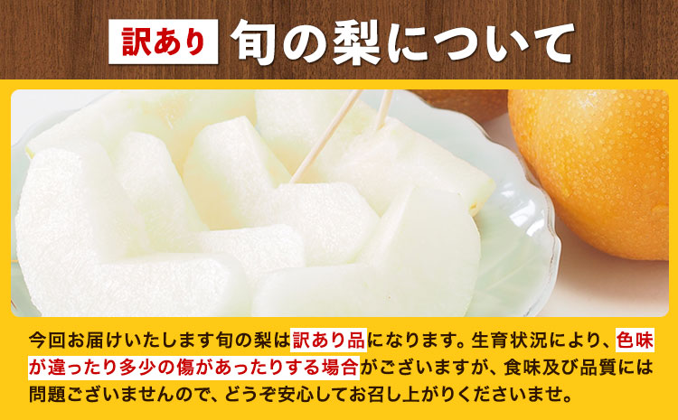 【先行予約】訳あり 岡山県産 旬の梨 約4kg 3～10玉前後 梨 訳あり 優品 新高 愛宕 王秋梨 鴨梨 スイーツ フルーツ デザート 旬 岡山県矢掛町《9月上旬-1月末頃に出荷予定》数量限定---ofn_wsnx_af91_25_17500_4kg---