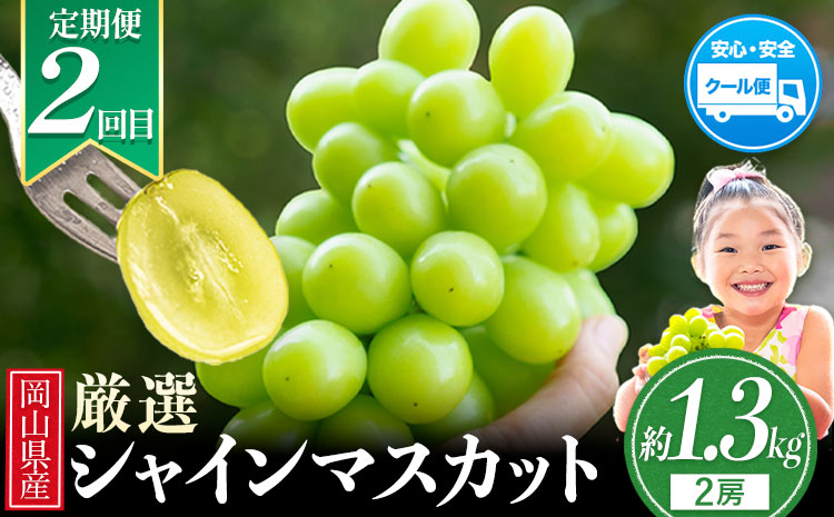 岡山県 旬のフルーツ定期便 全3回 桃 約1.3kg(4～8玉前後) シャインマスカット 約1.3kg (2房) 旬の梨 約1.8kg (2～5玉前後) 訳あり《7月上旬～12月末頃出荷》優品 フルーツ 果物 ご家庭用 定期便 お取り寄せ デザート---ofn_cfrutei_26_35500_jul3---