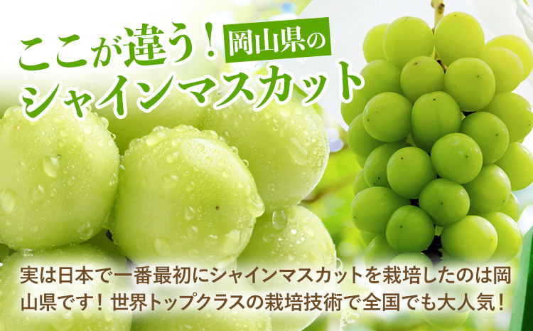 【2026年発送先行予約】厳選 シャインマスカット 計約2.6kg 定期便 2か月 ぶどう シャインマスカット フルーツ 数量限定 シャインマスカット 果物 岡山 ブドウ シャイン 《2026年9月上旬-11月中旬頃出荷》---ofn_cwsmxtei_26_27000_sep2---