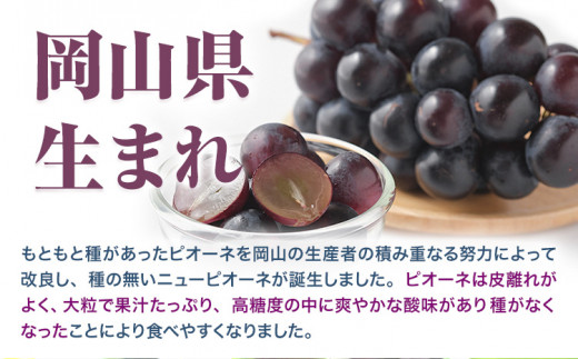 【先行予約】 岡山県産 ニューピオーネ 2房 480g以上 ハウス栽培 葡萄 果物 厳選出荷 スイーツ フルーツ デザート 岡山県矢掛町《7月上旬-8月下旬頃出荷》 種なしぶどう 【配送不可地域あり】---osy_chbf20_ak7_26_18000_2---