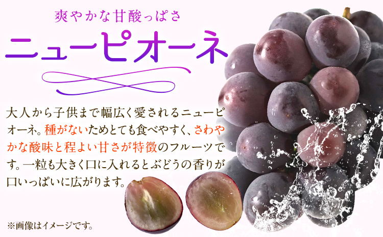 【先行予約】 岡山白桃 & シャインマスカット（晴王）& ニューピオーネ セット【配送不可地域あり】(離島、北海道、沖縄)白桃 ロイヤル シャインマスカット 1房 ニューピオーネ 1房《7月上旬-8月中旬頃出荷》 岡山県 矢掛町 桃 もも 晴王 ぶどう 詰め合わせ 果物---osy_chbf34_ae7_26_41500_ls---