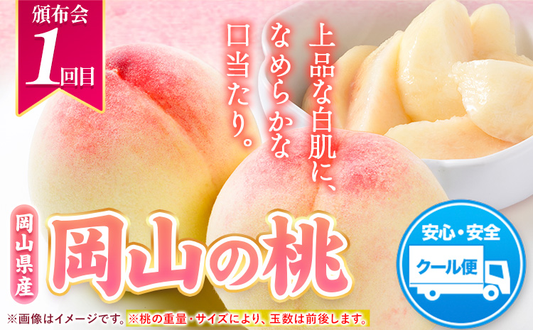 【2026年発送先行予約】 岡山県産 旬の人気 くだもの 定期便 全2回 桃 約1.3.kg (4～8玉前後) シャインマスカット 約1.3kg (2房) 《7月上旬‐10月末頃出荷》フルーツ 果物 定期便 お取り寄せ デザート 送料無料---osy_cmsxtei_26_25000_jul2---