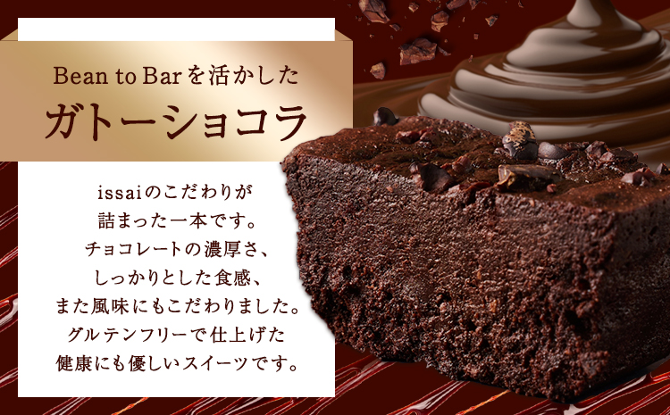 石挽きガトーショコラ＆チョコアイスセット 石挽きショコラ 1本 チョコアイス 6個 石挽きカカオissai 《30日以内に出荷予定(土日祝除く)》岡山県 矢掛町 チョコレート ガトーショコラ アイス カカオ---osy_ficigcci_30d_25_25500_s---